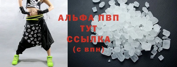 spice Богородицк