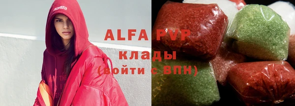spice Богородицк