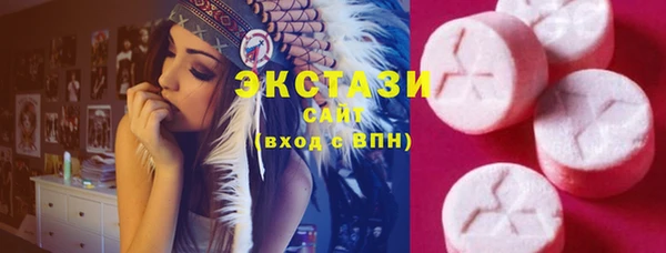 spice Богородицк