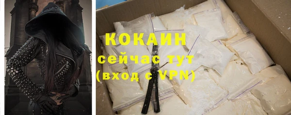 spice Богородицк
