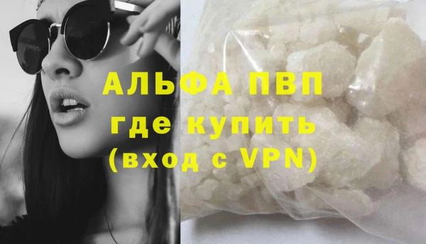 spice Богородицк