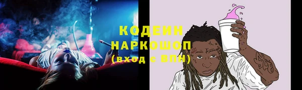 соль ск Богородск