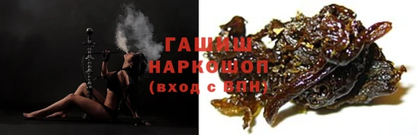 spice Богородицк