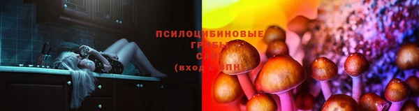 spice Богородицк