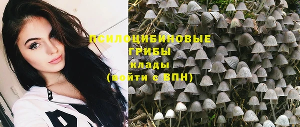spice Богородицк