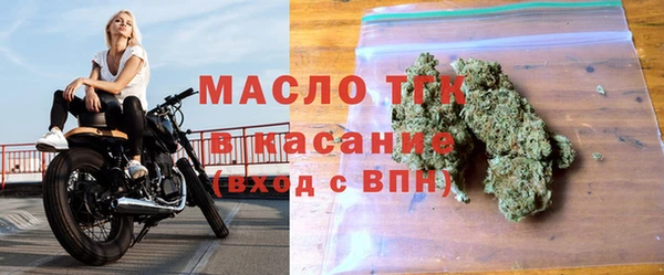spice Богородицк