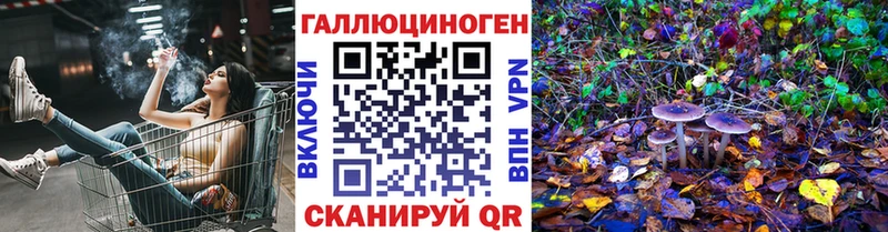 гидра рабочий сайт  Малмыж  Псилоцибиновые грибы Psilocybine cubensis 